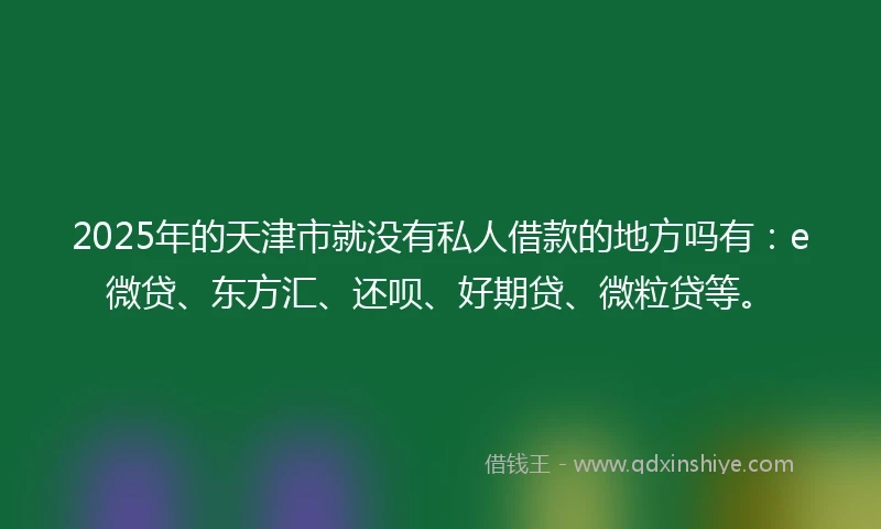 2025年的天津市就没有私人借款的地方吗有：e微贷、东方汇、还呗、好期贷、微粒贷等。