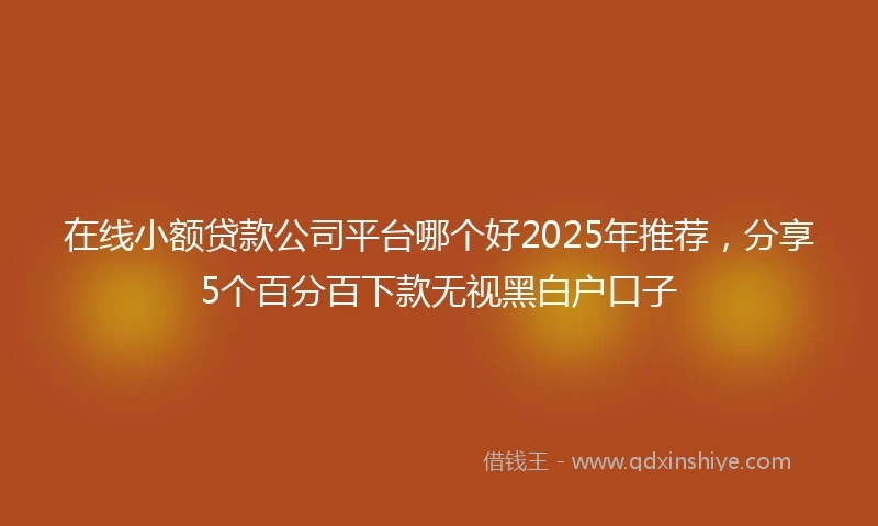 在线小额贷款公司平台哪个好2025年推荐，分享5个百分百下款无视黑白户口子