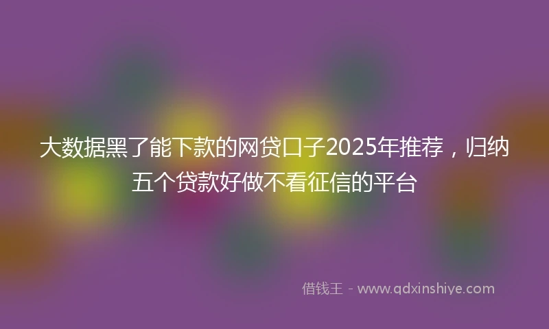 大数据黑了能下款的网贷口子2025年推荐，归纳五个贷款好做不看征信的平台