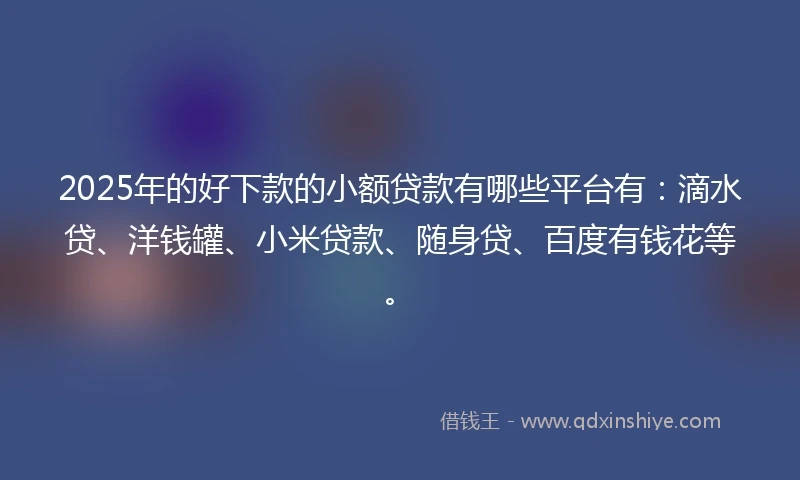 2025年的好下款的小额贷款有哪些平台有：滴水贷、洋钱罐、小米贷款、随身贷、百度有钱花等。
