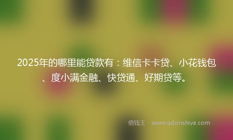 2025年的哪里能贷款有：维信卡卡贷、小花钱包、度小满金融、快贷通、好期贷等。