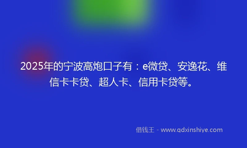 2025年的宁波高炮口子有：e微贷、安逸花、维信卡卡贷、超人卡、信用卡贷等。