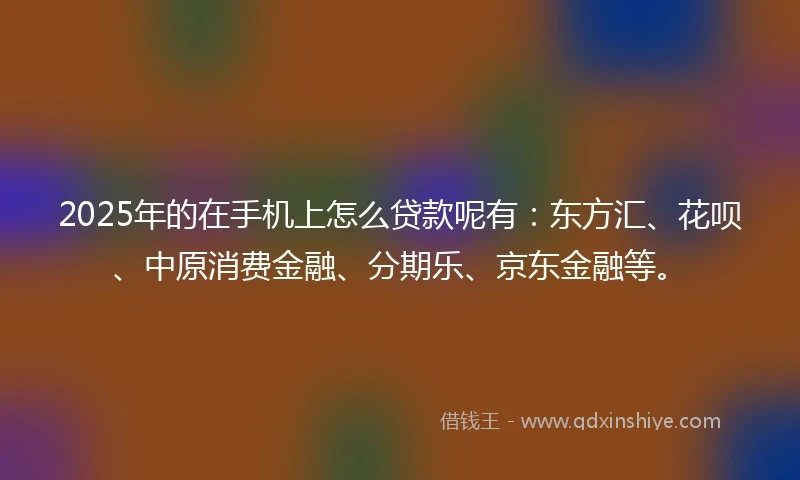 2025年的在手机上怎么贷款呢有：东方汇、花呗、中原消费金融、分期乐、京东金融等。