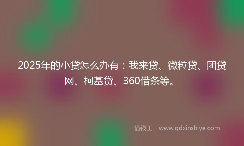2025年的小贷怎么办有：我来贷、微粒贷、团贷网、柯基贷、360借条等。