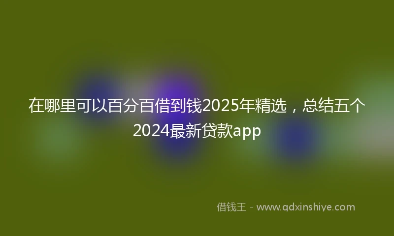 在哪里可以百分百借到钱2025年精选，总结五个2024最新贷款app