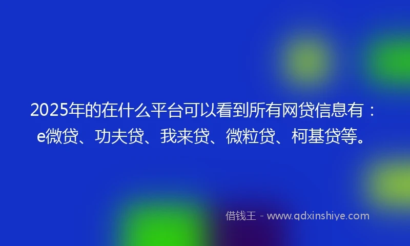 2025年的在什么平台可以看到所有网贷信息有：e微贷、功夫贷、我来贷、微粒贷、柯基贷等。