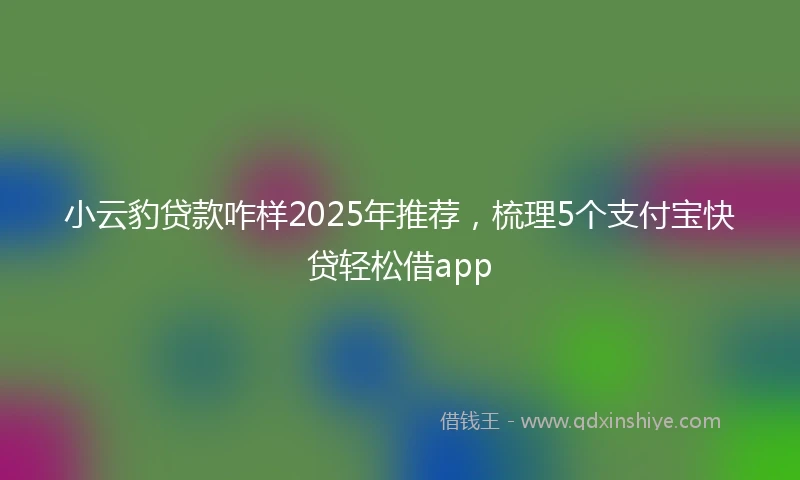 小云豹贷款咋样2025年推荐，梳理5个支付宝快贷轻松借app