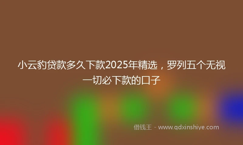 小云豹贷款多久下款2025年精选，罗列五个无视一切必下款的口子