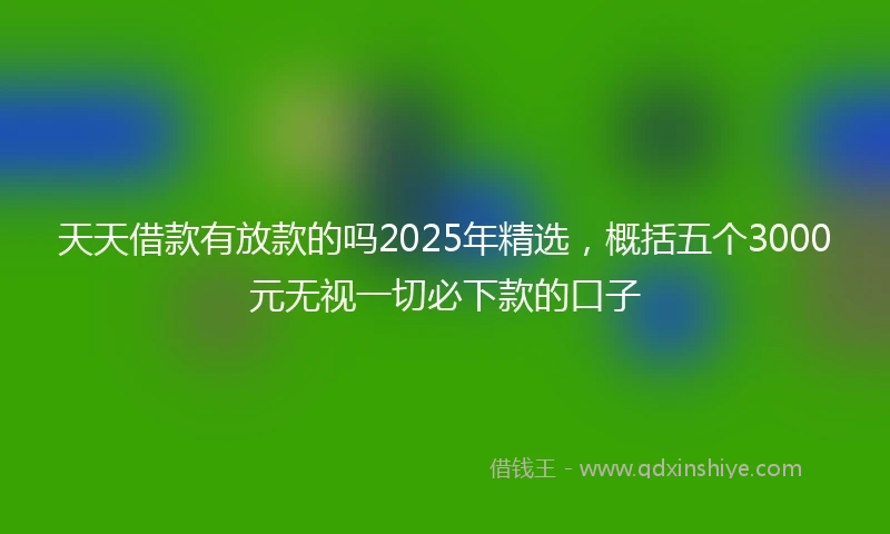 天天借款有放款的吗2025年精选，概括五个3000元无视一切必下款的口子