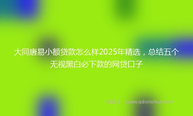 大同唐易小额贷款怎么样2025年精选，总结五个无视黑白必下款的网贷口子