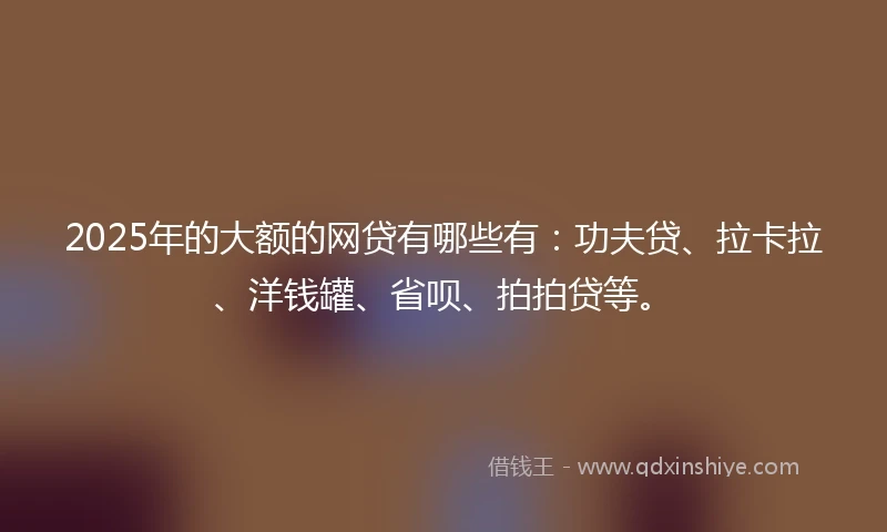 2025年的大额的网贷有哪些有：功夫贷、拉卡拉、洋钱罐、省呗、拍拍贷等。
