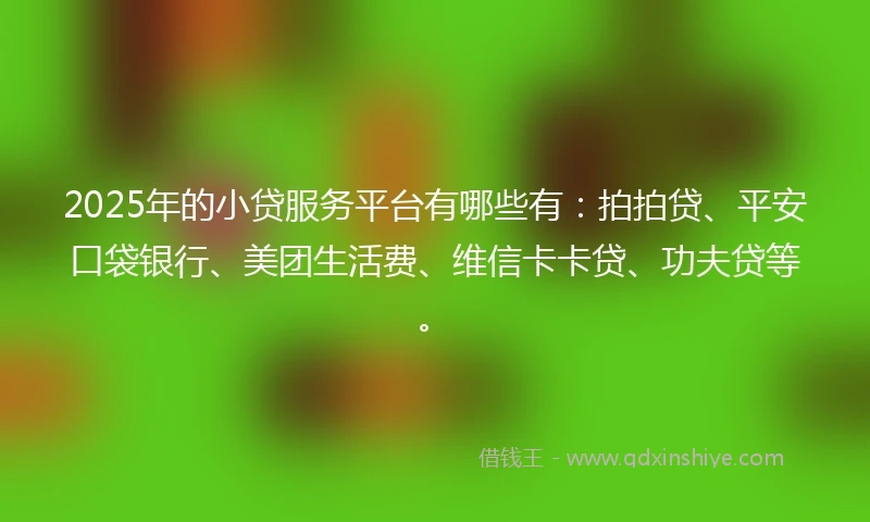 2025年的小贷服务平台有哪些有：拍拍贷、平安口袋银行、美团生活费、维信卡卡贷、功夫贷等。