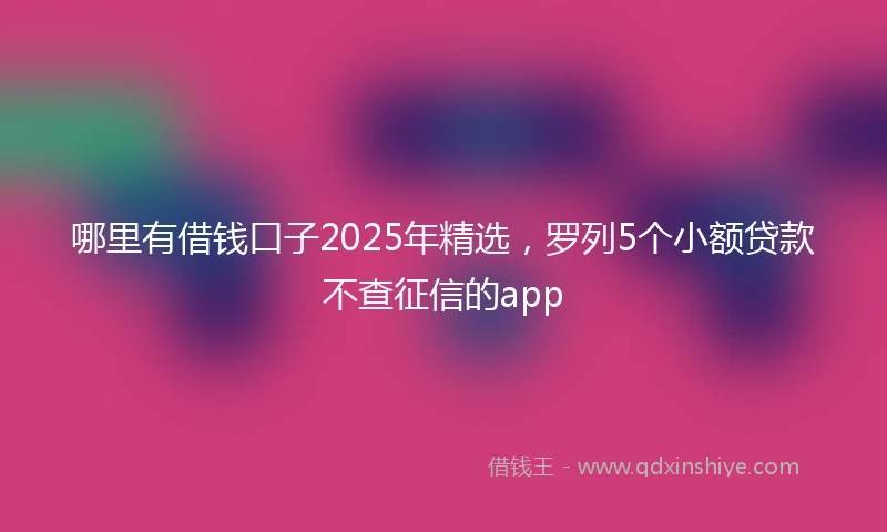 哪里有借钱口子2025年精选,罗列5个小额贷款不查征信的app