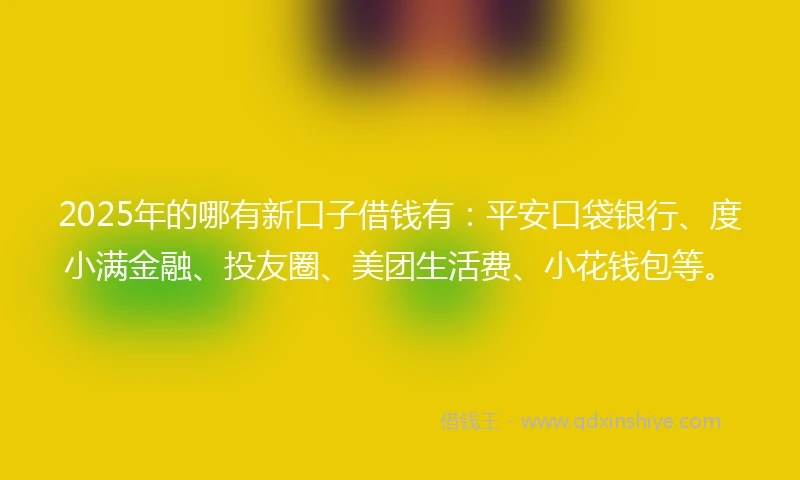 2025年的哪有新口子借钱有：平安口袋银行、度小满金融、投友圈、美团生活费、小花钱包等。