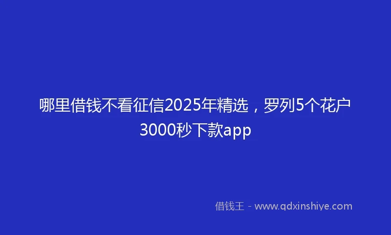哪里借钱不看征信2025年精选，罗列5个花户3000秒下款app