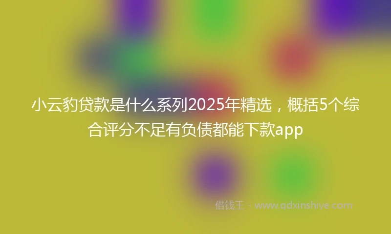 小云豹贷款是什么系列2025年精选，概括5个综合评分不足有负债都能下款app