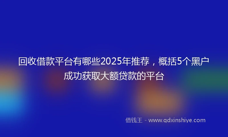 回收借款平台有哪些2025年推荐，概括5个黑户成功获取大额贷款的平台