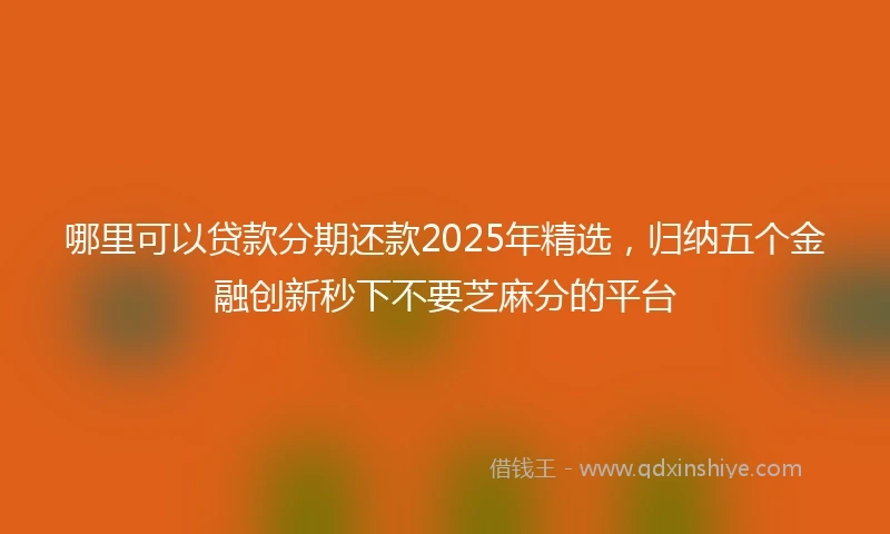 哪里可以贷款分期还款2025年精选，归纳五个金融创新秒下不要芝麻分的平台