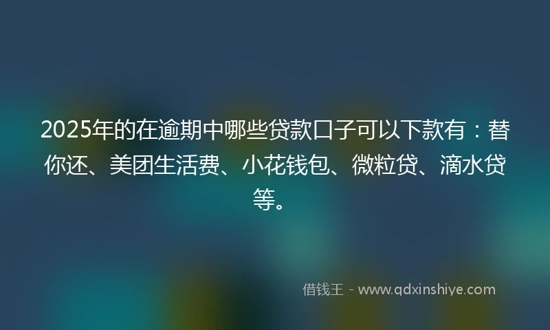 2025年的在逾期中哪些贷款口子可以下款有：替你还、美团生活费、小花钱包、微粒贷、滴水贷等。