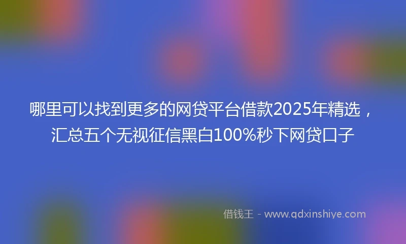 哪里可以找到更多的网贷平台借款2025年精选，汇总五个无视征信黑白100%秒下网贷口子