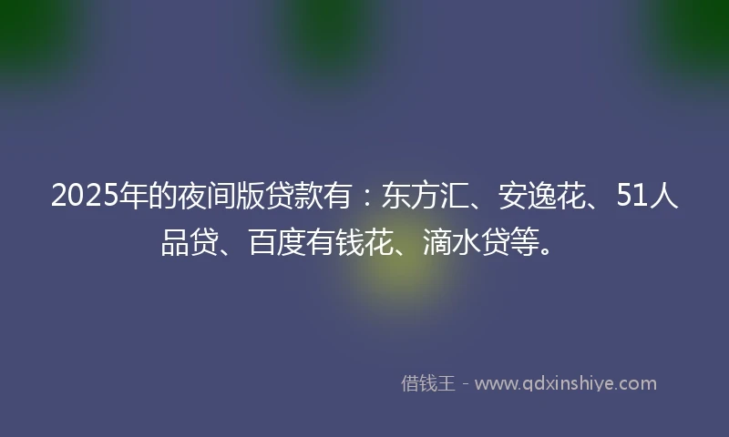 2025年的夜间版贷款有：东方汇、安逸花、51人品贷、百度有钱花、滴水贷等。