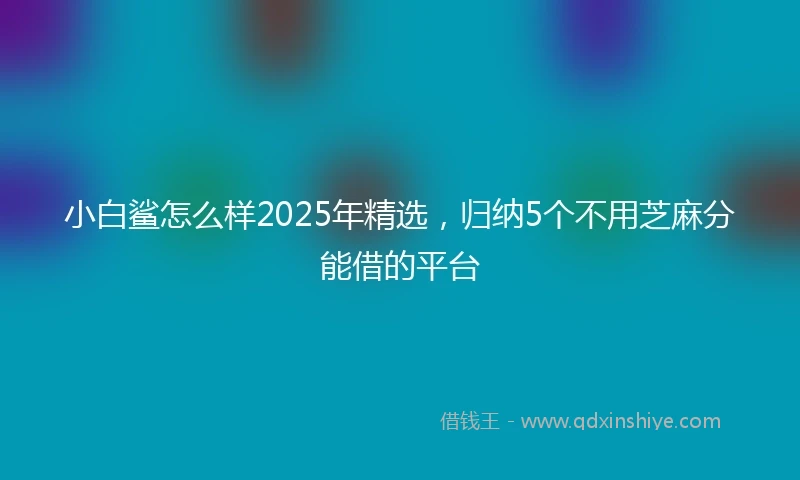 小白鲨怎么样2025年精选，归纳5个不用芝麻分能借的平台