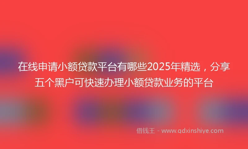 在线申请小额贷款平台有哪些2025年精选，分享五个黑户可快速办理小额贷款业务的平台