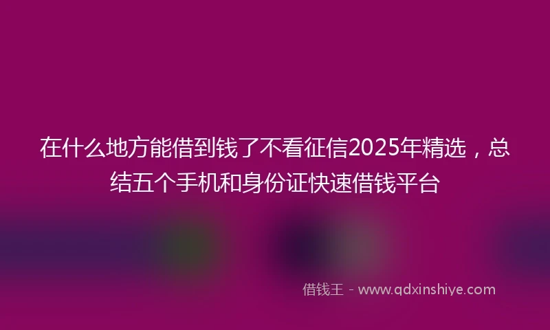 在什么地方能借到钱了不看征信2025年精选，总结五个手机和身份证快速借钱平台