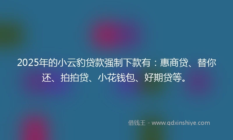 2025年的小云豹贷款强制下款有：惠商贷、替你还、拍拍贷、小花钱包、好期贷等。