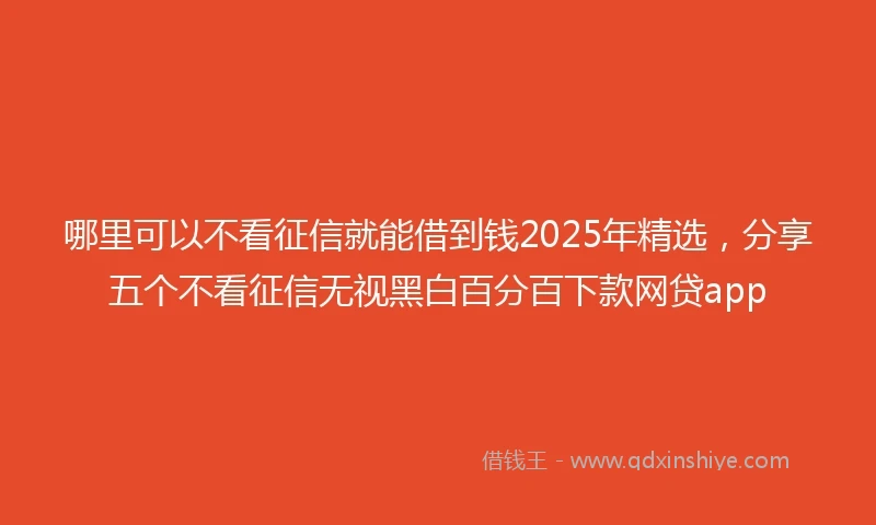 哪里可以不看征信就能借到钱2025年精选，分享五个不看征信无视黑白百分百下款网贷app