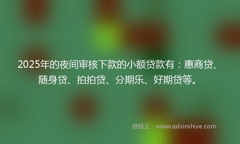 2025年的夜间审核下款的小额贷款有：惠商贷、随身贷、拍拍贷、分期乐、好期贷等。