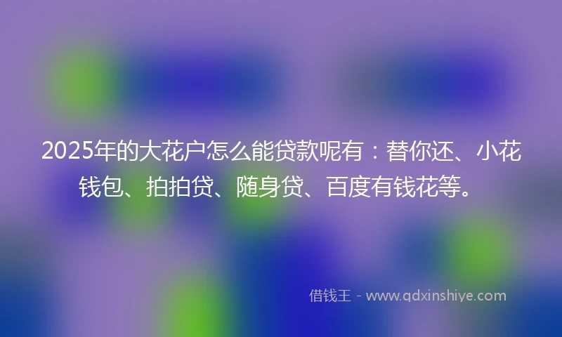 2025年的大花户怎么能贷款呢有：替你还、小花钱包、拍拍贷、随身贷、百度有钱花等。