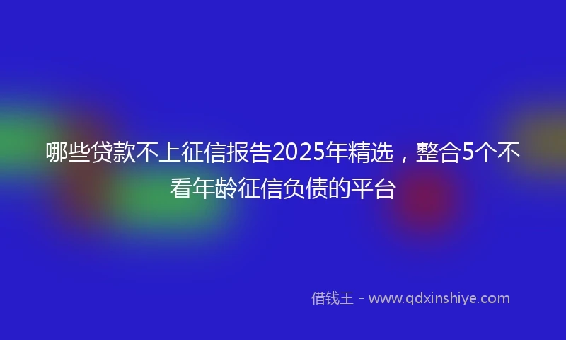 哪些贷款不上征信报告2025年精选，整合5个不看年龄征信负债的平台