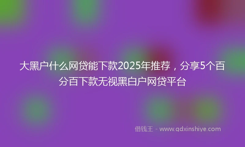 大黑户什么网贷能下款2025年推荐，分享5个百分百下款无视黑白户网贷平台