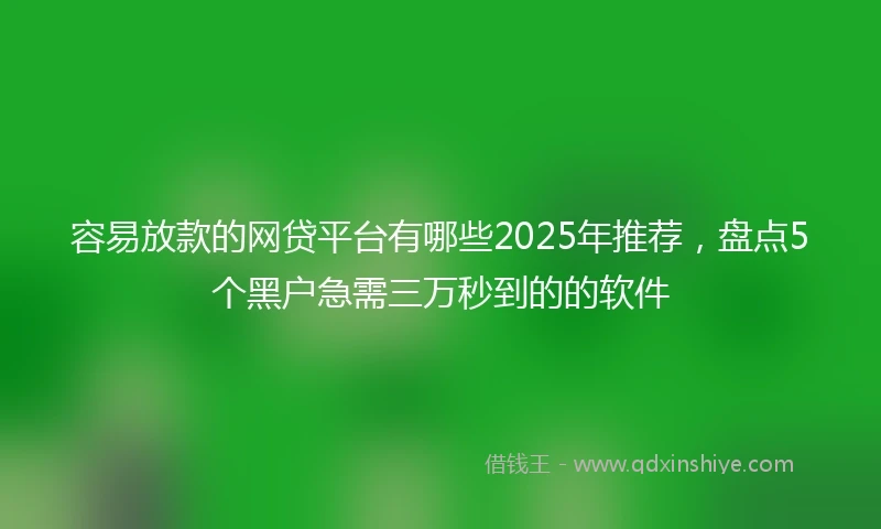容易放款的网贷平台有哪些2025年推荐，盘点5个黑户急需三万秒到的的软件