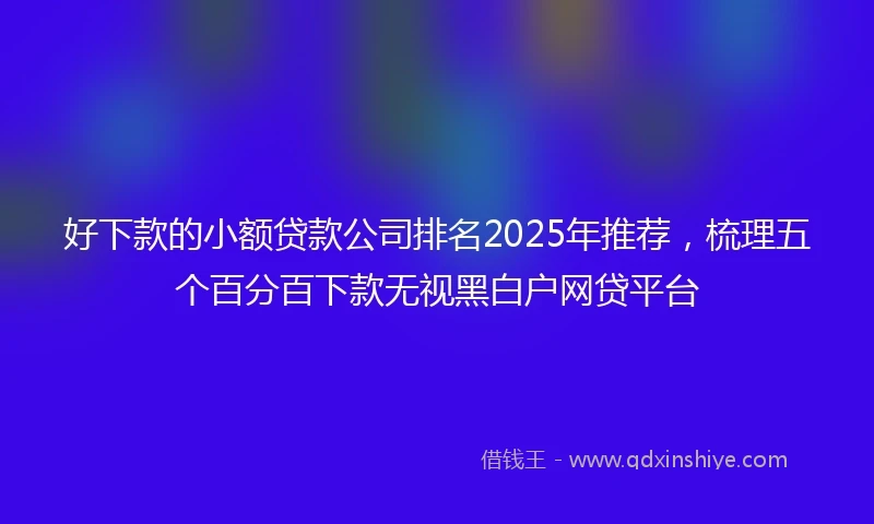 好下款的小额贷款公司排名2025年推荐，梳理五个百分百下款无视黑白户网贷平台