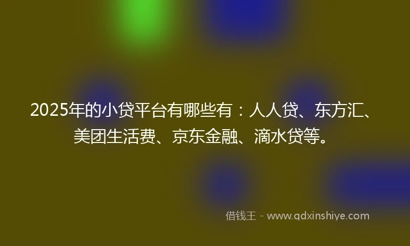 2025年的小贷平台有哪些有：人人贷、东方汇、美团生活费、京东金融、滴水贷等。