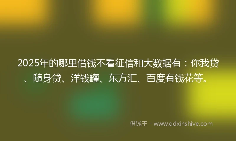 2025年的哪里借钱不看征信和大数据有：你我贷、随身贷、洋钱罐、东方汇、百度有钱花等。