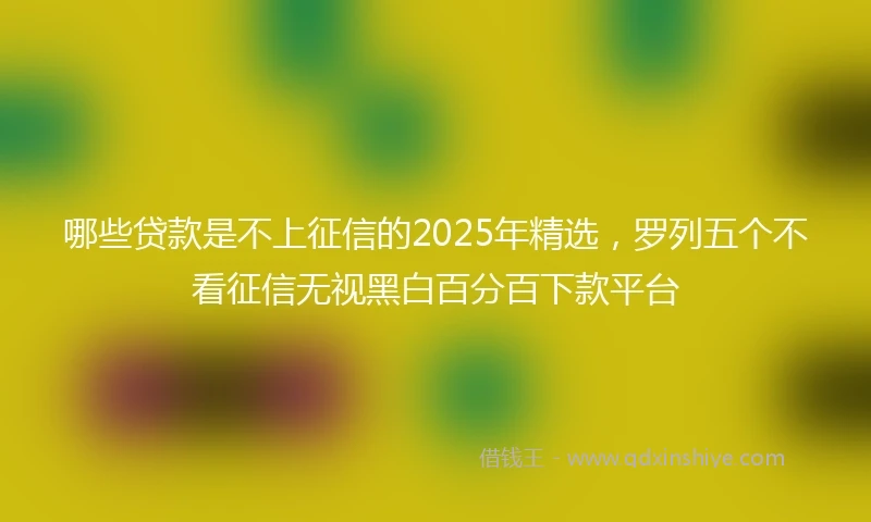 哪些贷款是不上征信的2025年精选，罗列五个不看征信无视黑白百分百下款平台