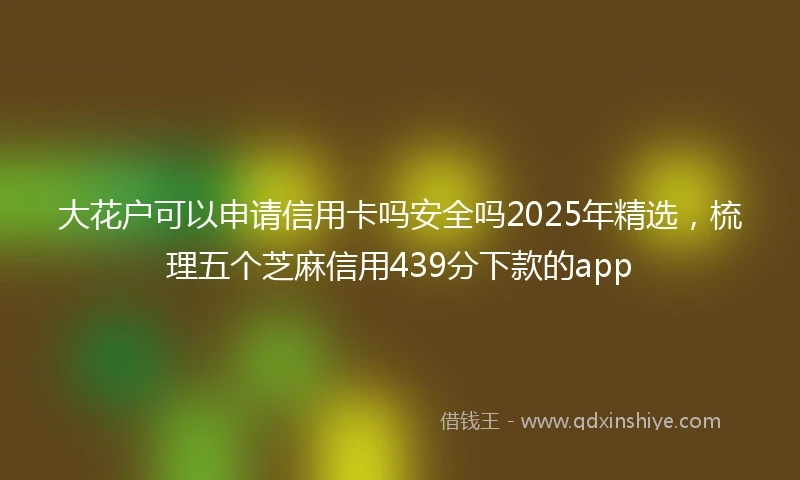 大花户可以申请信用卡吗安全吗2025年精选，梳理五个芝麻信用439分下款的app