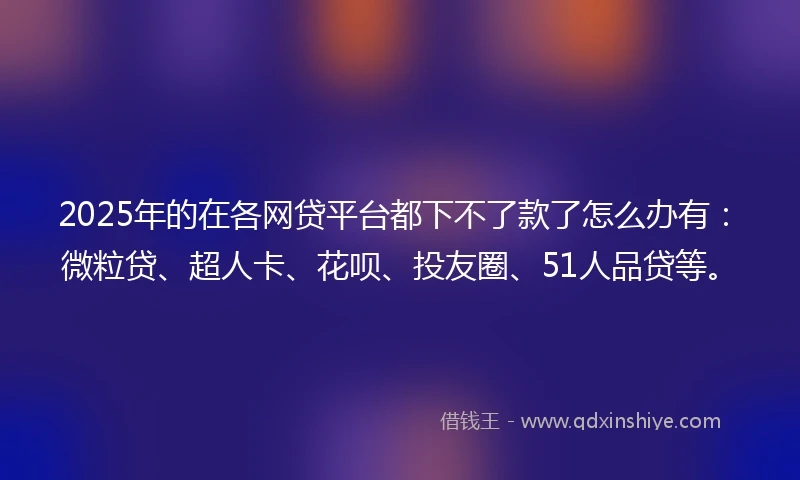 2025年的在各网贷平台都下不了款了怎么办有：微粒贷、超人卡、花呗、投友圈、51人品贷等。