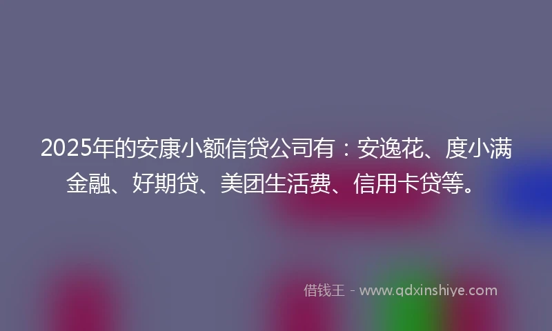 2025年的安康小额信贷公司有：安逸花、度小满金融、好期贷、美团生活费、信用卡贷等。
