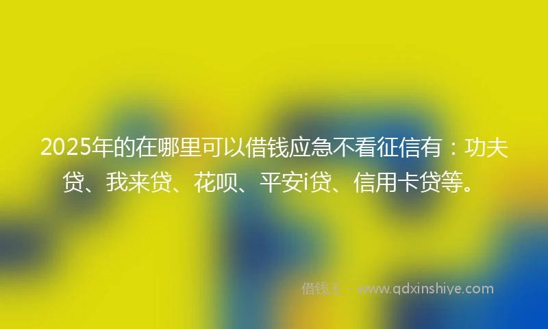 2025年的在哪里可以借钱应急不看征信有：功夫贷、我来贷、花呗、平安i贷、信用卡贷等。