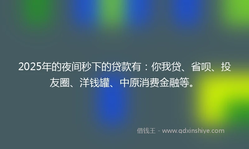 2025年的夜间秒下的贷款有：你我贷、省呗、投友圈、洋钱罐、中原消费金融等。