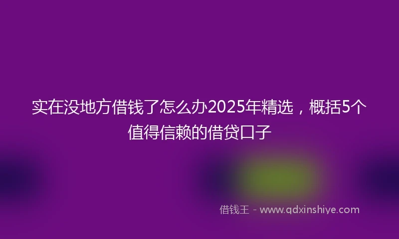 实在没地方借钱了怎么办2025年精选，概括5个值得信赖的借贷口子