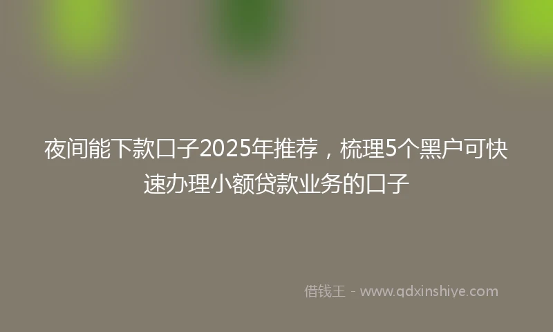 夜间能下款口子2025年推荐，梳理5个黑户可快速办理小额贷款业务的口子