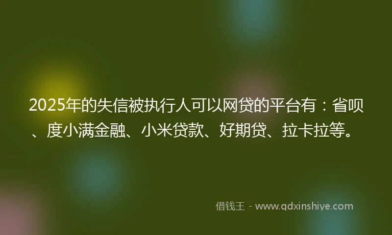 2025年的失信被执行人可以网贷的平台有：省呗、度小满金融、小米贷款、好期贷、拉卡拉等。