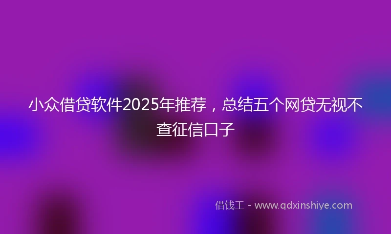 小众借贷软件2025年推荐，总结五个网贷无视不查征信口子