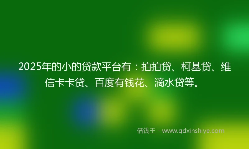2025年的小的贷款平台有：拍拍贷、柯基贷、维信卡卡贷、百度有钱花、滴水贷等。