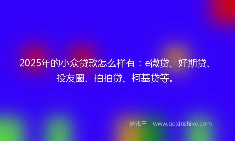 2025年的小众贷款怎么样有：e微贷、好期贷、投友圈、拍拍贷、柯基贷等。